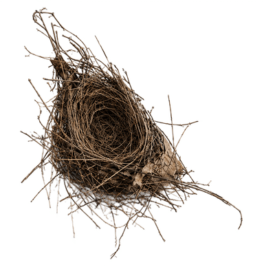 Nest